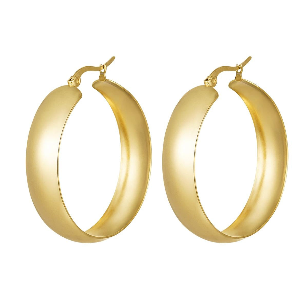 Earrings stainless steel chic